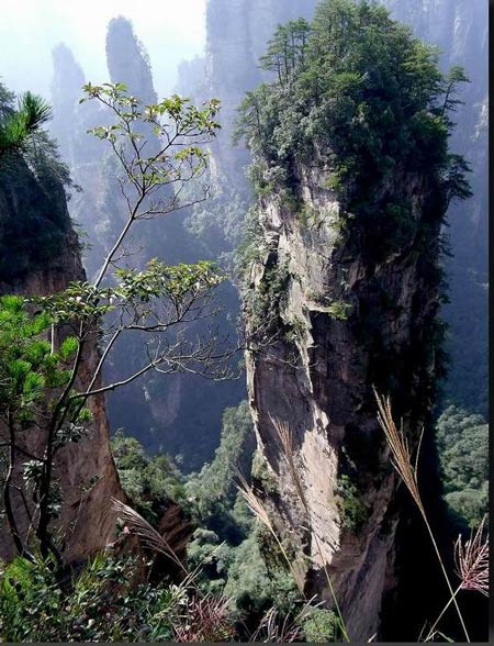 長(zhǎng)沙出發(fā)到張家界溶洞奇觀黃龍洞、國(guó)家森林公園、袁家界、峰林之王天子山三日游（早班）